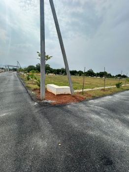  Residential Plot for Sale in Avilala, Tirupati