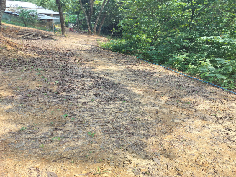  Residential Plot 4320 Sq.ft. for Sale in Chandmari, Silchar