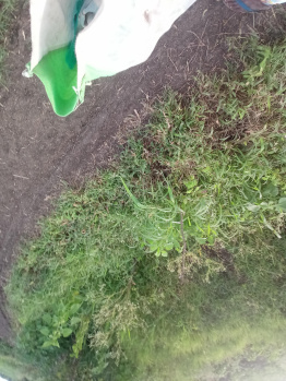  Agricultural Land for Sale in Mominpet Mandal, Vikarabad