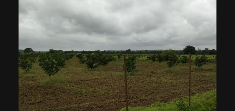  Agricultural Land 196 Guntha for Sale in Malvan, Sindhudurg