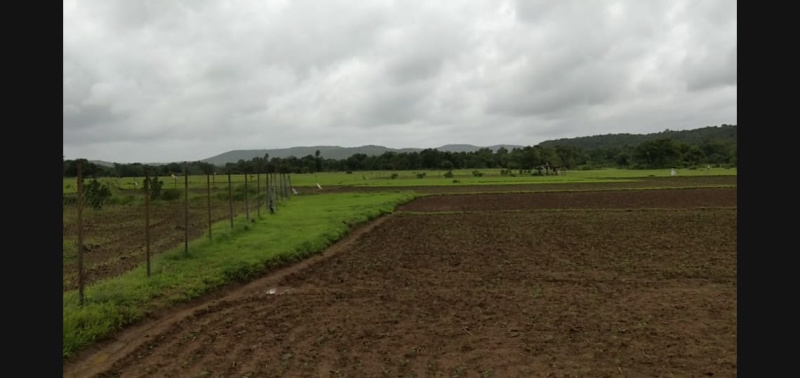  Agricultural Land 196 Guntha for Sale in Malvan, Sindhudurg