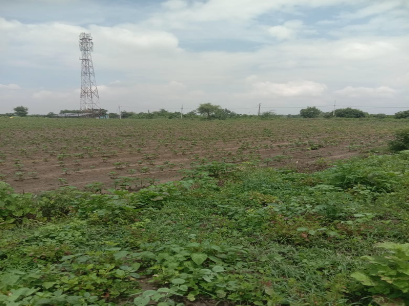  Agricultural Land 3 Acre for Sale in Mouda, Nagpur