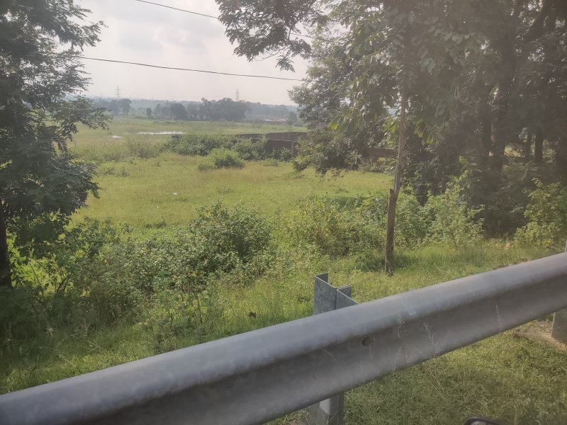  Residential Plot 4000 Dismil for Sale in Pithoria Road, Ranchi