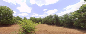  Agricultural Land for Sale in Sindhrot, Vadodara