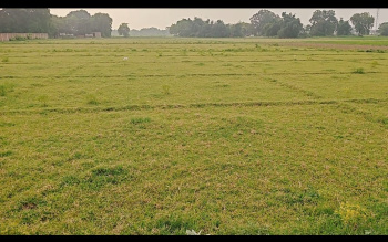  Residential Plot for Sale in Babatpur, Varanasi