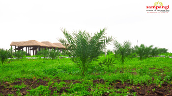  Agricultural Land for Sale in Narayankhed, Sangareddy