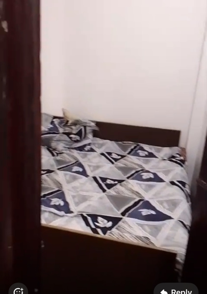 1 BHK Apartment 500 Sq.ft. for Rent in Kalkaji, Delhi