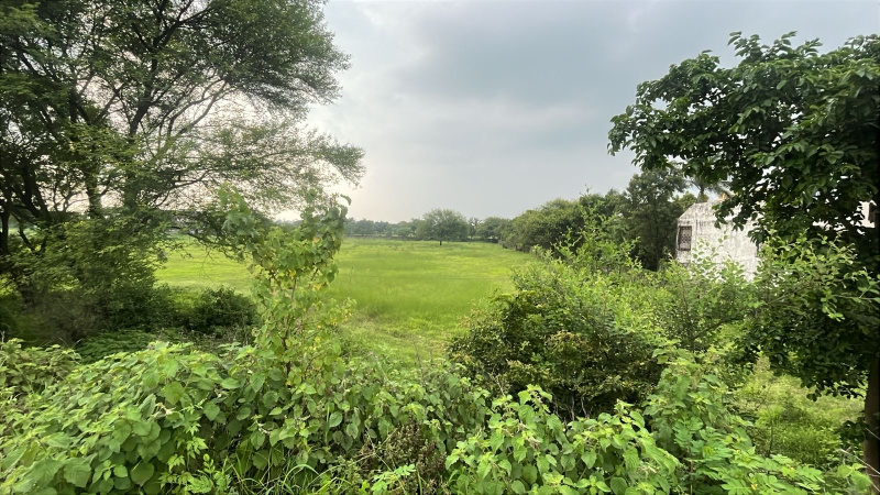  Industrial Land 1 Hectares for Rent in Jetpura, Dhar