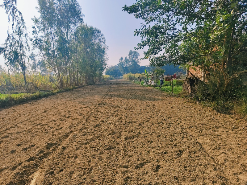  Hotels 6045 Sq. Yards for Sale in Ayodhya, Faizabad