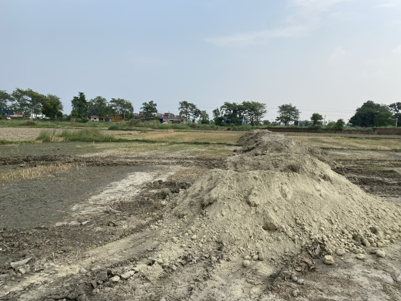  Residential Plot 1000 Sq.ft. for Sale in Kasia Bazaar, Kushinagar
