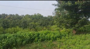  Agricultural Land for Sale in Bajipura, Surat
