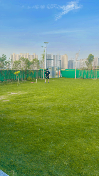 1 BHK Farm House 3000 Sq.ft. for Sale in Sector 151 Noida