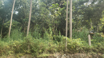  Residential Plot for Sale in Karungal, Kanyakumari
