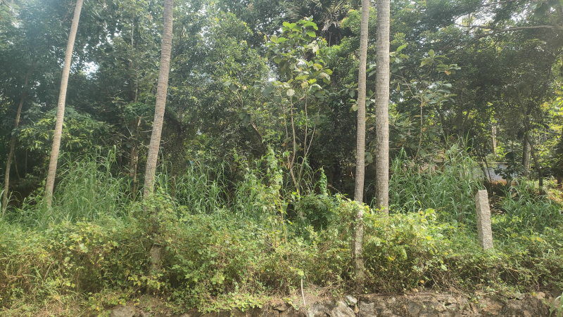  Residential Plot 40 Cent for Sale in Karungal, Kanyakumari