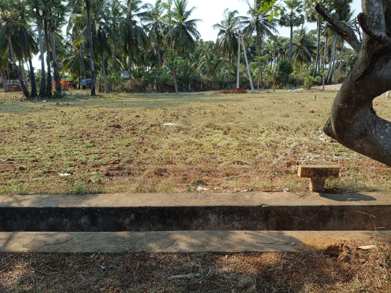  Residential Plot 220 Sq. Yards for Sale in Bhogapuram, Vizianagaram