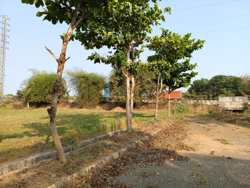  Residential Plot 220 Sq. Yards for Sale in Bhogapuram, Vizianagaram