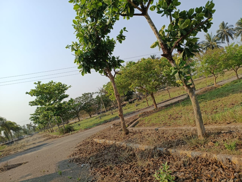  Residential Plot 220 Sq. Yards for Sale in Bhogapuram, Vizianagaram