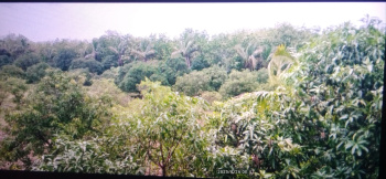  Industrial Land for Sale in Tukwada, Vapi