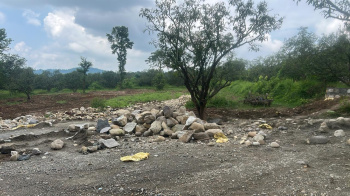  Residential Plot for Sale in Horawala, Dehradun