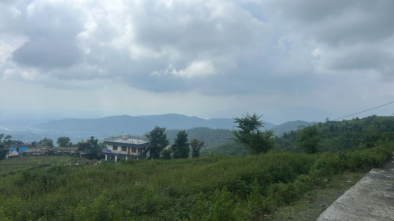  Residential Plot 14500 Sq.ft. for Sale in Dharampur, Dehradun