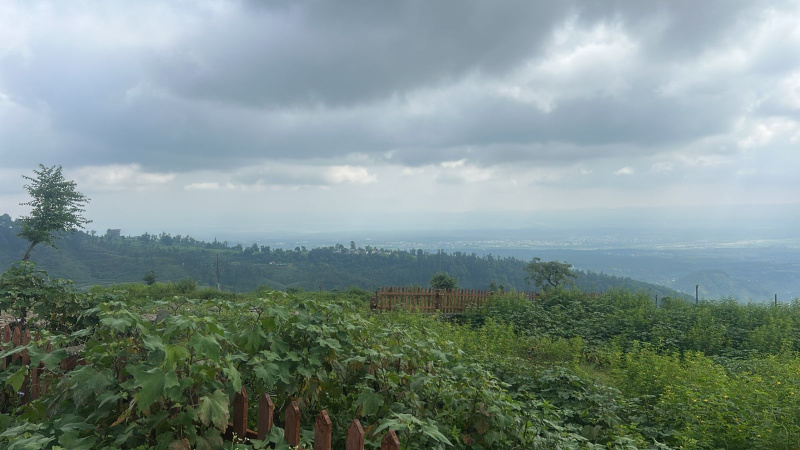  Residential Plot 14500 Sq.ft. for Sale in Dharampur, Dehradun