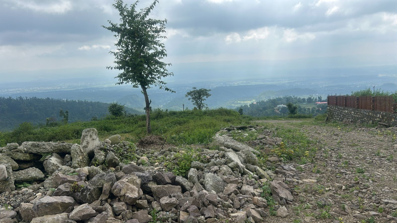  Residential Plot 14500 Sq.ft. for Sale in Dharampur, Dehradun