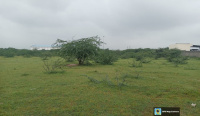  Industrial Land for Sale in Mundra, Kutch