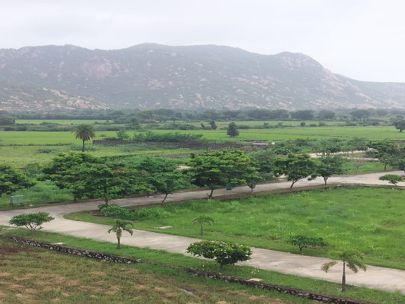 Residential Plot 1250 Sq.ft. for Sale in Abu Road, Sirohi