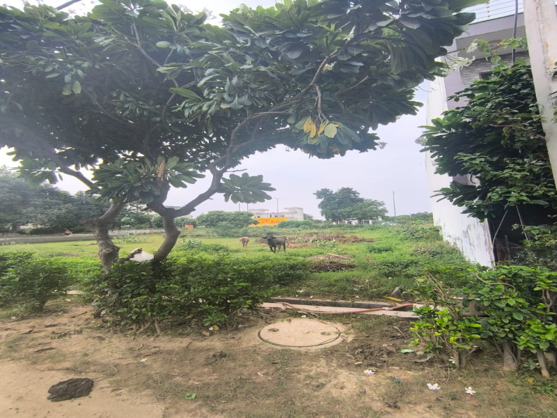  Residential Plot 188 Sq. Meter for Sale in Lal Kuan, Ghaziabad