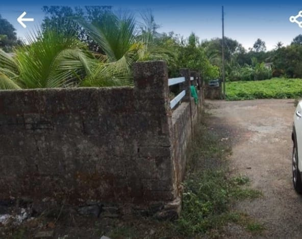 Residential Plot 3 Cent for Sale in Mulanthuruthy, Ernakulam