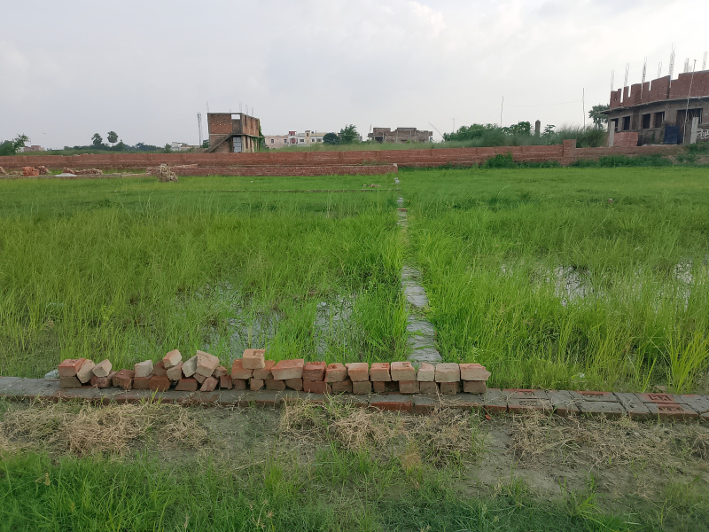  115 Katha Residential Plot for Sale in Mirganj, Gopalganj