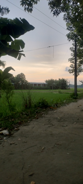  Residential Plot 2 Bigha for Sale in Bilasipara, Dhubri