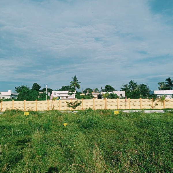  Residential Plot 100 Sq. Yards for Sale in Kankipadu, Vijayawada