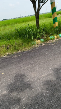 Residential Plot for Sale in Vuyyuru, Krishna