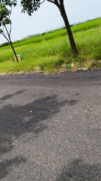  150 Sq. Yards Residential Plot for Sale in Vuyyuru, Krishna