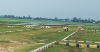  Residential Plot for Sale in Sahjanwa, Gorakhpur