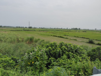  Industrial Land for Sale in Dhaka, Champaran