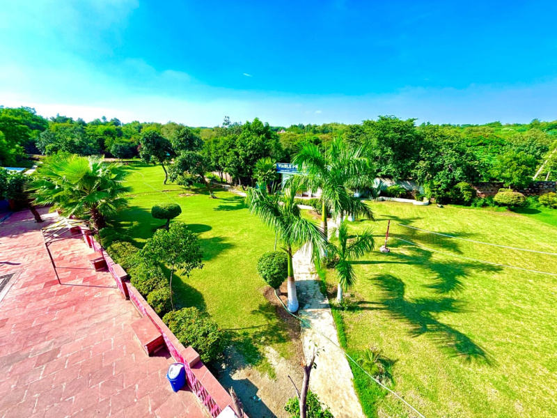  Agricultural Land 1 Bigha for Sale in Aklimpur, Gurgaon