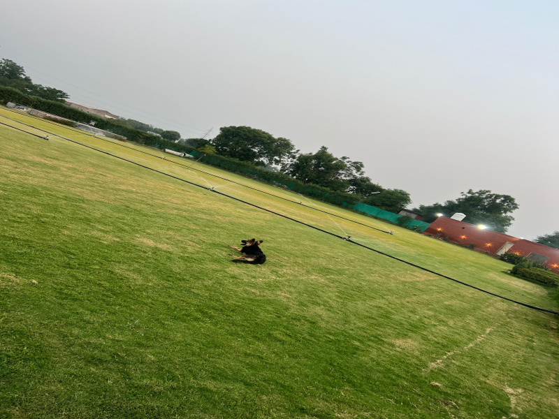  2 Acre Agricultural/Farm Land for Sale in Manesar, Gurgaon