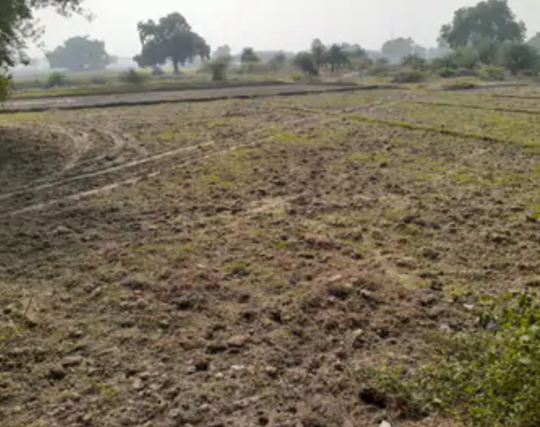  4 Acre Warehouse for Sale in Manesar, Gurgaon