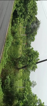  Agricultural Land for Sale in Chikhli, Navsari