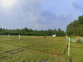  Agricultural Land for Sale in Kalchini, Alipurduar