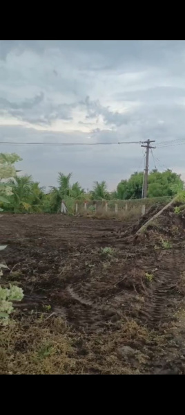  Agricultural Land 8700 Sq.ft. for Rent in Kallakurichi, Villupuram
