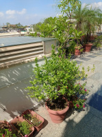 4.5 BHK Flat for Sale in New Friends Colony, Delhi