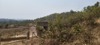 Agricultural Land for Sale in Quepem, South Goa,