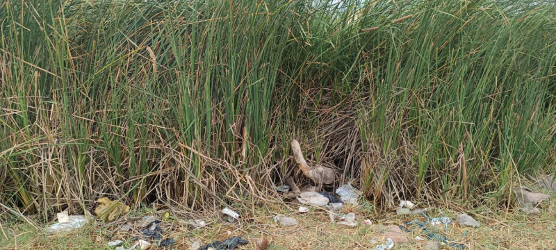  Residential Plot 1280 Sq.ft. for Sale in Villapuram, Madurai