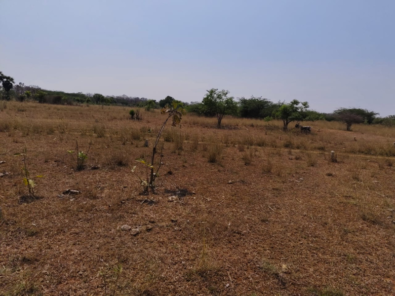  Residential Plot 4250 Sq.ft. for Sale in Vilapakkam, Vellore