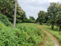 Industrial Land for Sale in S Kota, Vizianagaram