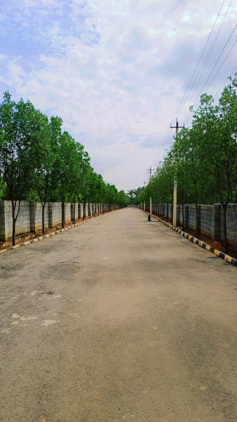  3600 Sq.ft. Residential Plot for Sale in Soukya Road, Bangalore