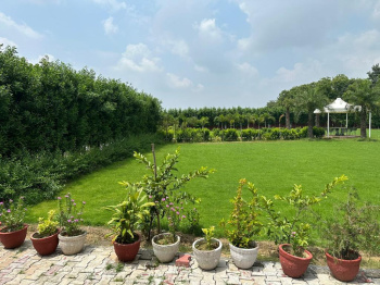  Agricultural Land for Sale in Sohna, Gurgaon